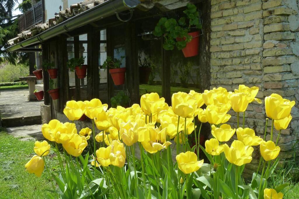 Casa Rural Mertxenea Landetxea Elcano Zewnętrze zdjęcie